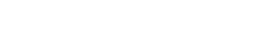 Roborder Logo